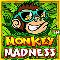 Pragmatic Slot